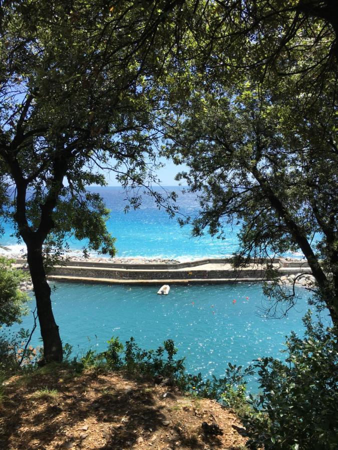Casetta Del Marinaio Camogli Exteriér fotografie