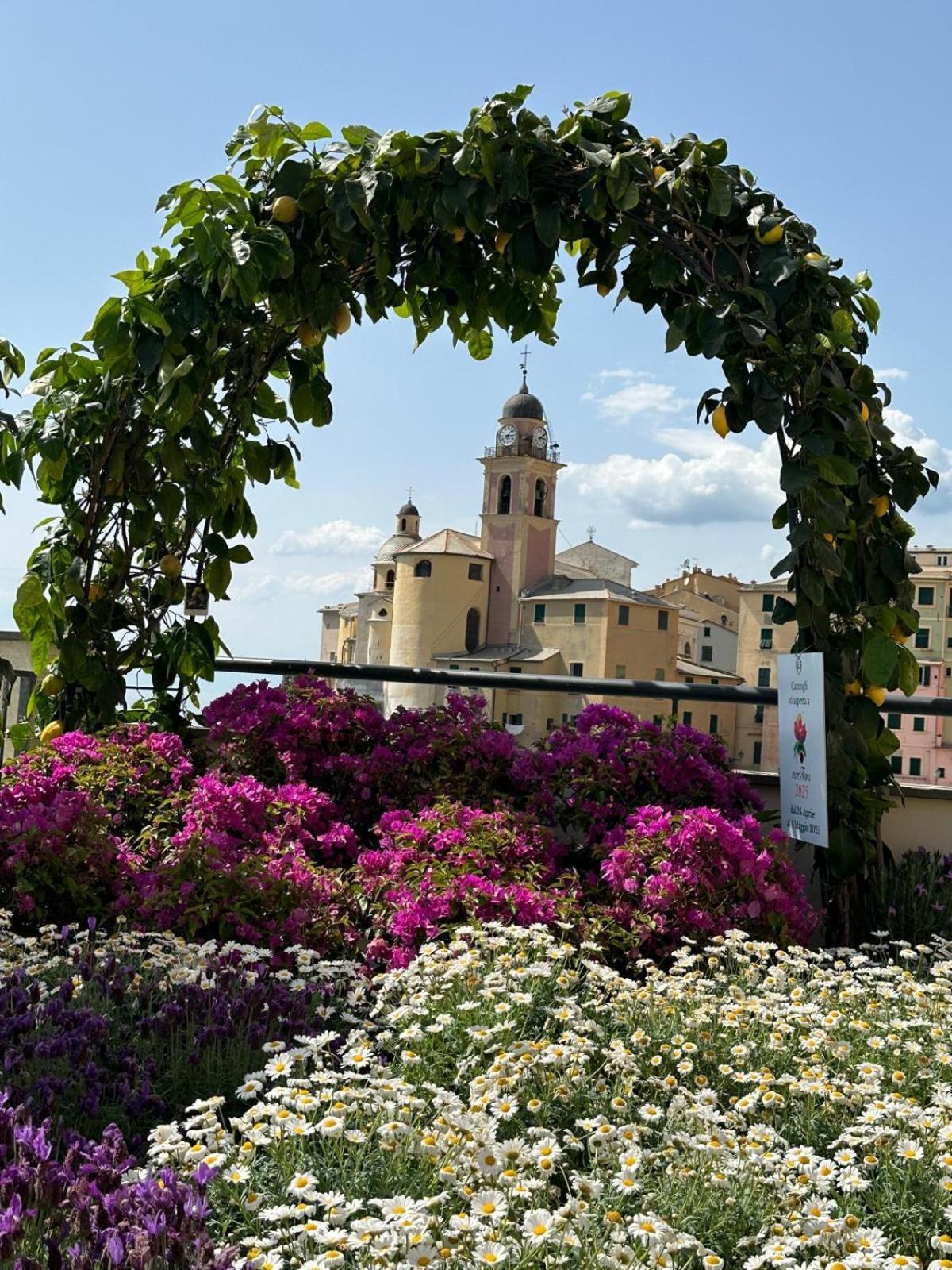 Casetta Del Marinaio Camogli Exteriér fotografie